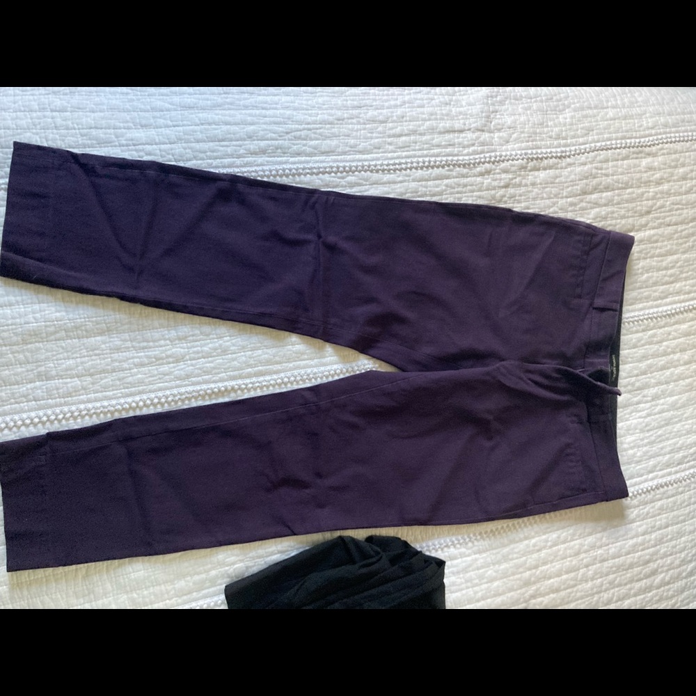 Banana Republic eggplant pants